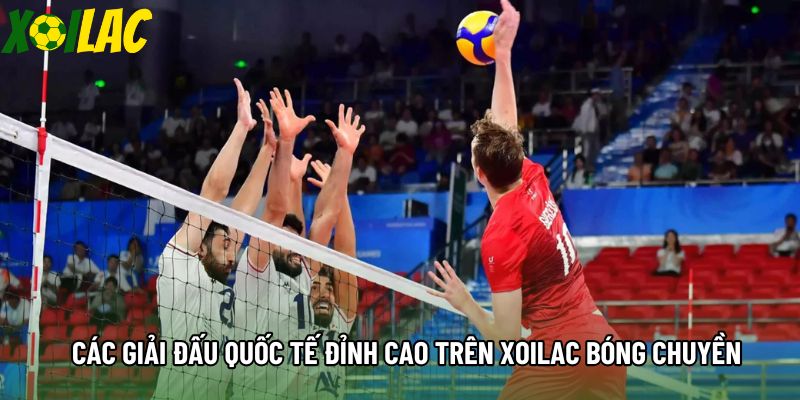 Các giải đấu quốc tế đỉnh cao trên xoilac bóng chuyền