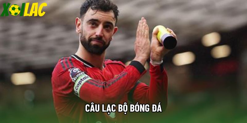 Câu Lạc Bộ Bóng Đá - Biểu Tượng Văn Hóa Và Cỗ Máy Kiếm Tiền