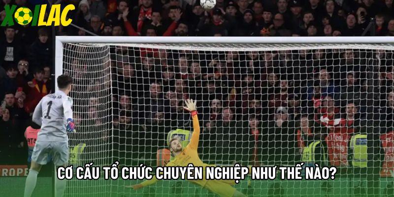 Cơ cấu tổ chức chuyên nghiệp như thế nào?