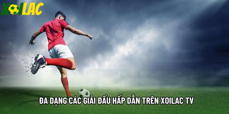Đa dạng các giải đấu hấp dẫn trên xoilac tv Đa dạng các giải đấu hấp dẫn trên xoilac tv