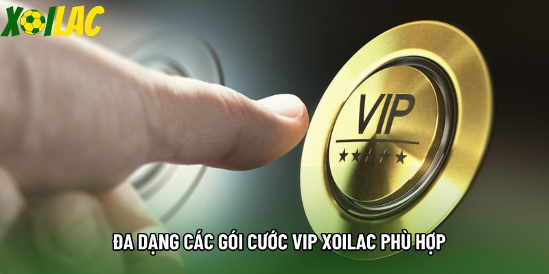 Đa dạng các gói cước VIP xoilac phù hợp