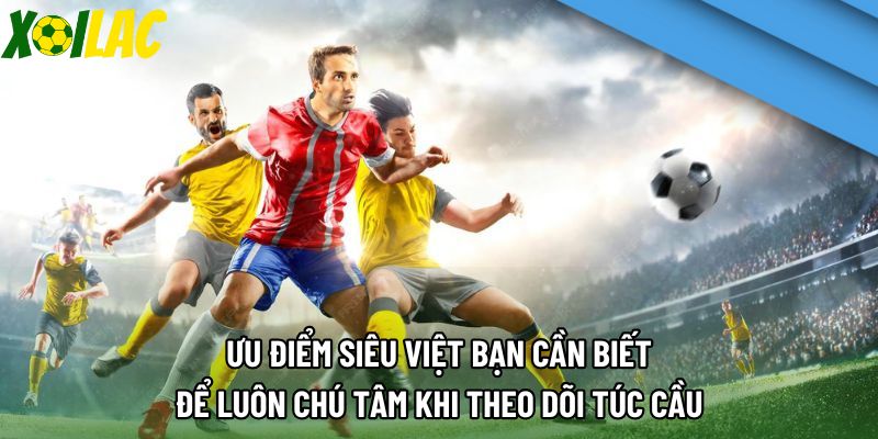 Ưu điểm siêu việt bạn cần biết để luôn chú tâm khi theo dõi túc cầu