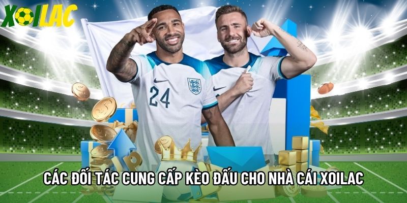 Các đối tác cung cấp kèo đấu cho nhà cái Xoilac