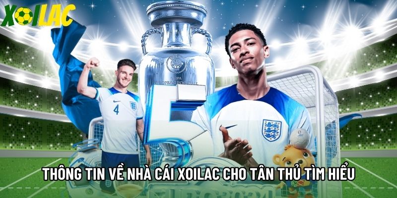 Thông tin về nhà cái Xoilac cho tân thủ tìm hiểu