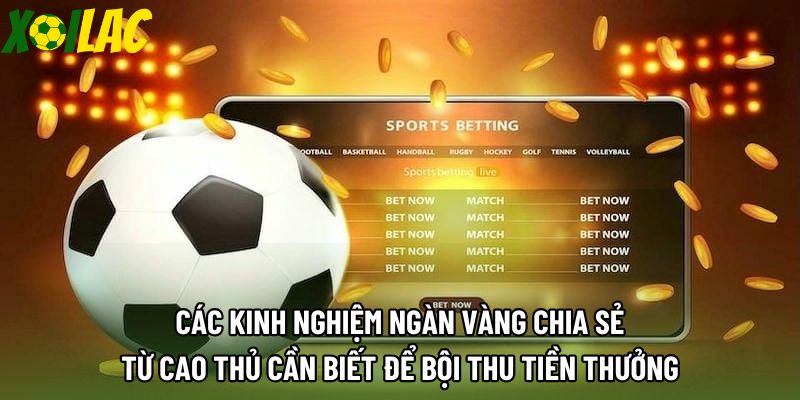 Các kinh nghiệm ngàn vàng chia sẻ từ cao thủ cần biết để bội thu tiền thưởng