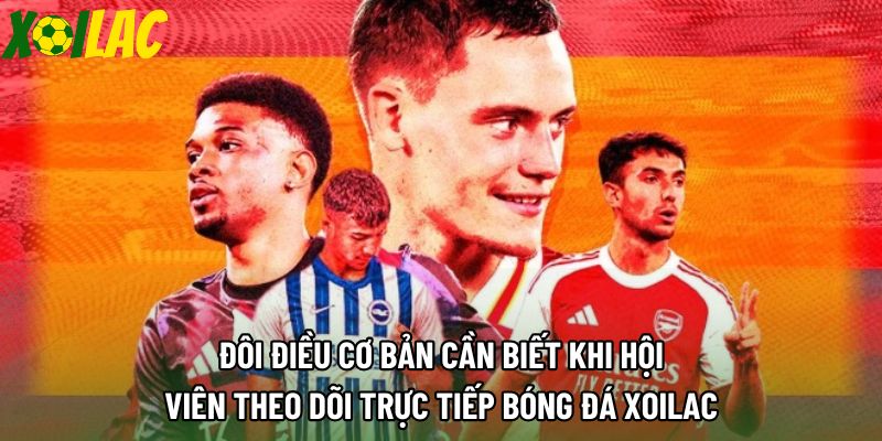 Đôi điều cơ bản cần biết khi hội viên theo dõi trực tiếp bóng đá xoilac Đôi điều cơ bản cần biết khi hội viên theo dõi trực tiếp bóng đá xoilac