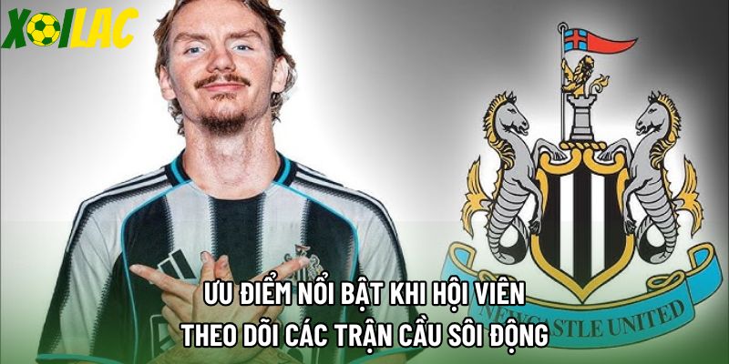 Ưu điểm nổi bật khi hội viên theo dõi các trận cầu sôi động Ưu điểm nổi bật khi hội viên theo dõi các trận cầu sôi động
