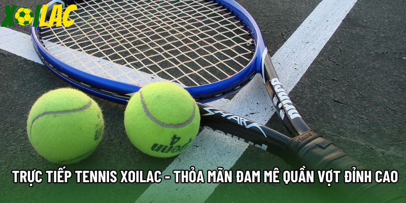 Trực Tiếp Tennis Xoilac - Thỏa Mãn Đam Mê Quần Vợt Đỉnh Cao