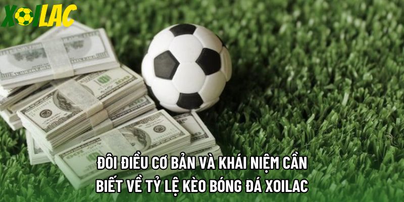 Đôi điều cơ bản và khái niệm cần biết về tỷ lệ kèo bóng đá xoilac