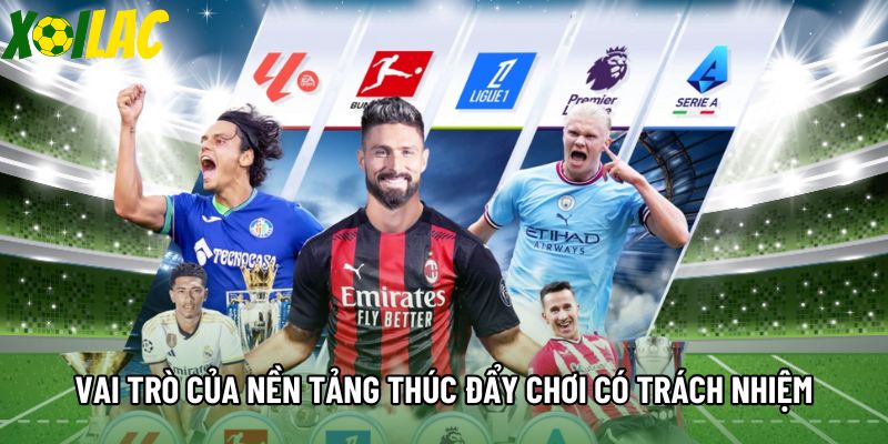 Vai trò của nền tảng thúc đẩy hành vi chơi có trách nhiệm