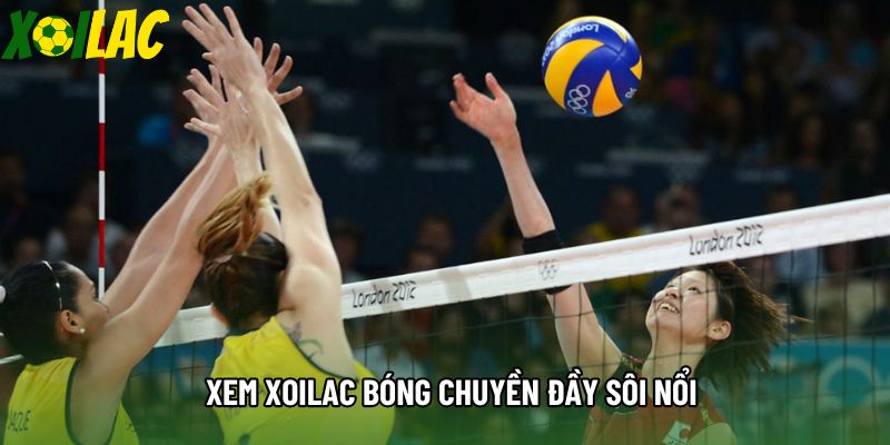 Xem xoilac bóng chuyền đầy sôi nổi