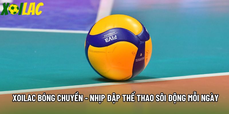 Xoilac Bóng Chuyền - Nhịp Đập Thể Thao Sôi Động Mỗi Ngày
