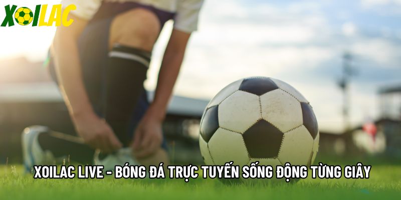 Xoilac Live - Bóng Đá Trực Tuyến Sống Động Từng Giây