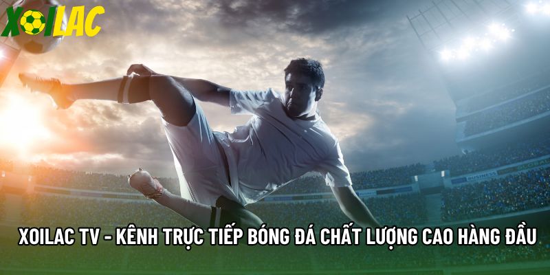 Xoilac Tv - Kênh Trực Tiếp Bóng Đá Chất Lượng Cao Hàng Đầu